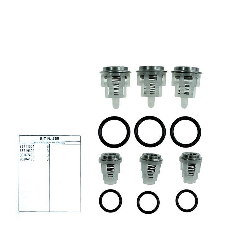 Interpump Kit 269 - Valve set (6x) - Series 58 + 59 Evolution