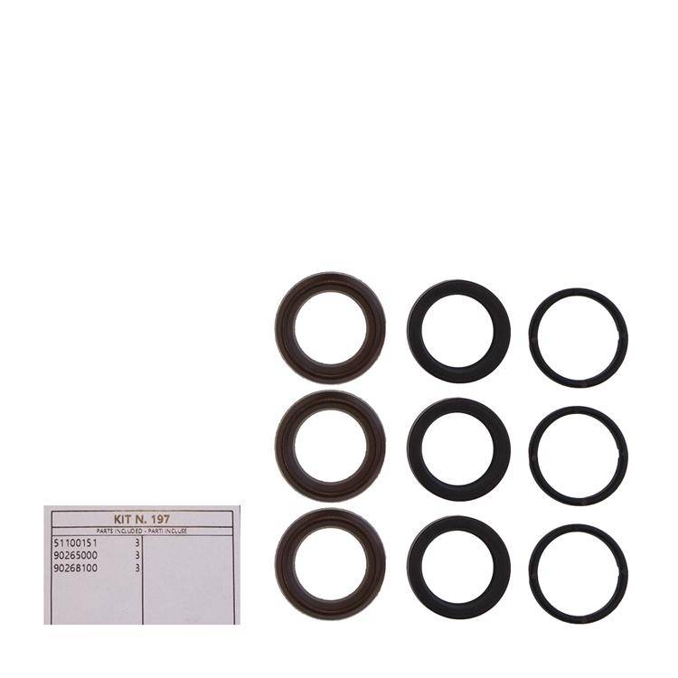 Interpump Kit 197 - Set of rings Ø18mm (3x) - Series 60