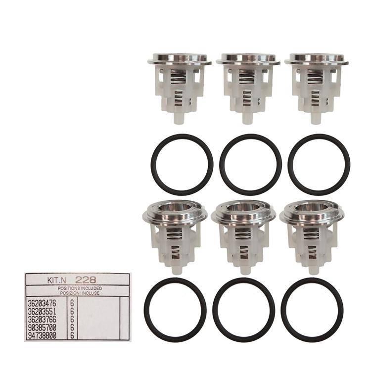 Interpump Kit 228 - Ventilsatz (6x) - Serie 66SS