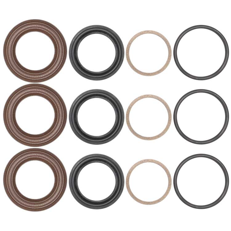 Annovi Reverberi Kit 42469  Kolbendichtsatz 18 mm