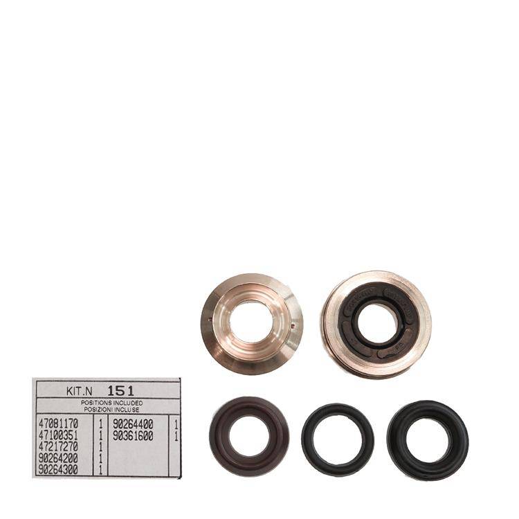 Interpump Kit 151 - Complete gasket set for 1 plunger Ø16mm