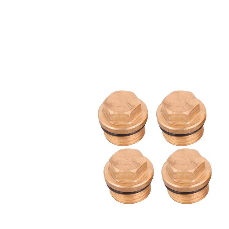 Interpump Kit 133 - Plug und O-Ring (4x) - Serie Greenjet + Cleanmatic + Bluetime