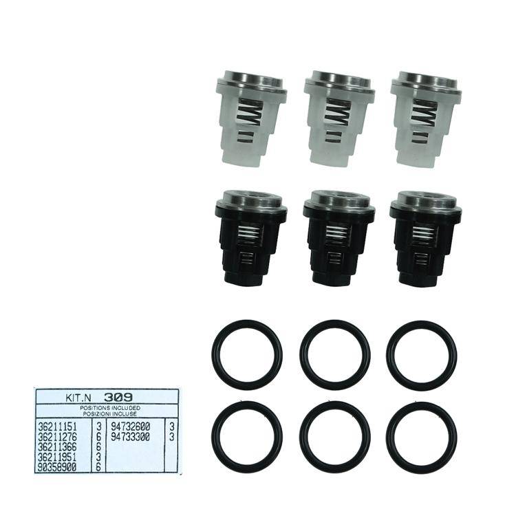 Interpump Kit 309 - Valve set (6x) - Series 53 (E1)