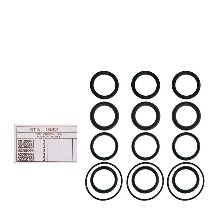 Interpump Kit 302 - Sealing kit for 3 plunjer Ø50mm - Series AB