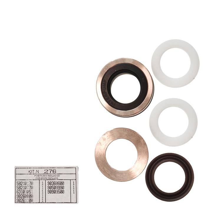 Interpump Kit 276 - Complete gasket set for 1 plunger Ø15mm - Series 58