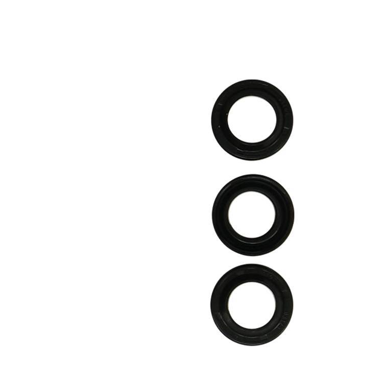 Interpump Kit 503 - Set of oil seals (3x)