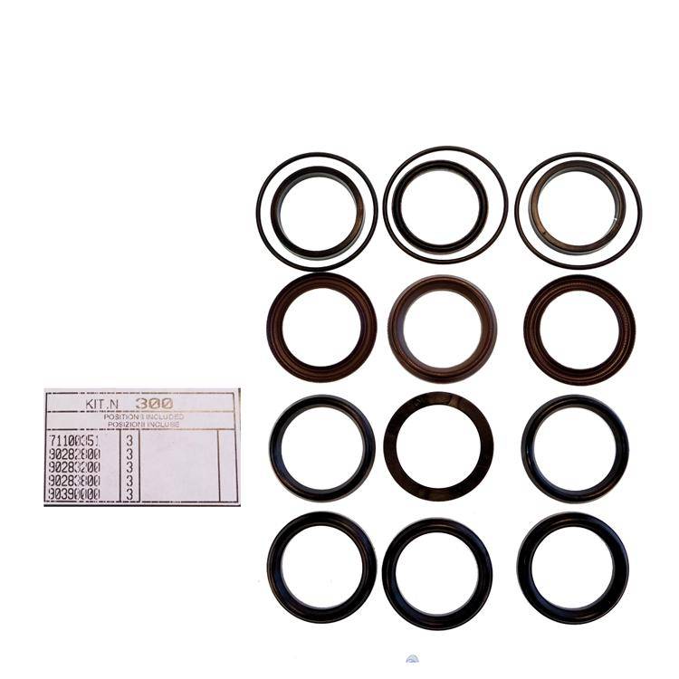 Interpump Kit 300 - Seal kit for 3 plunjer Ø40mm - Series AB