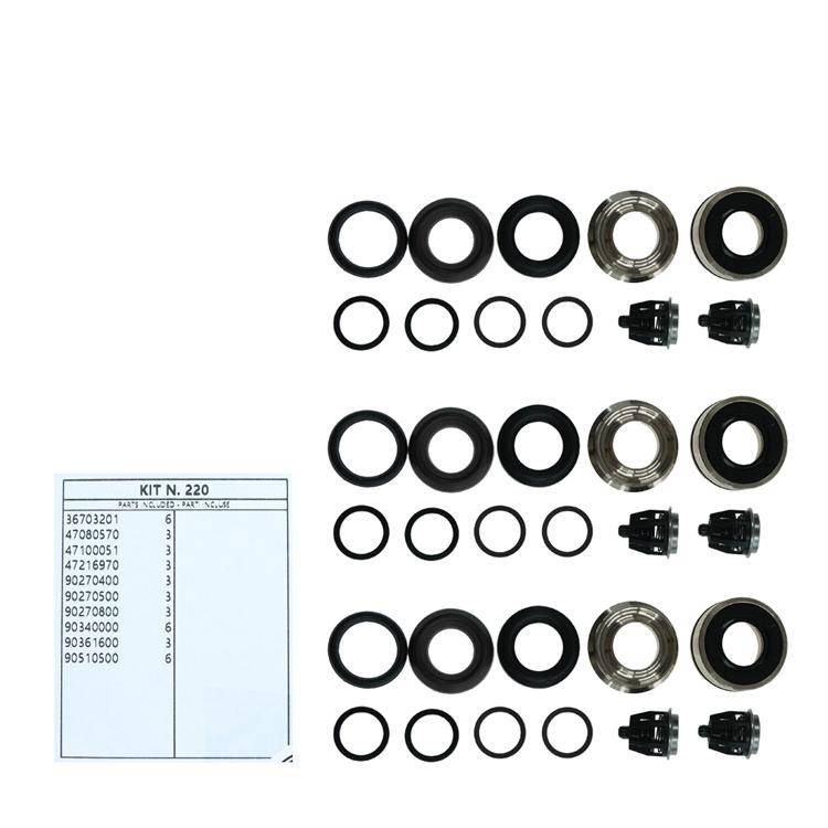Interpump Kit 220 - Komplette Dichtsatz mit Ventile Ø20mm - für Umbau auf Serie 47(V)HT