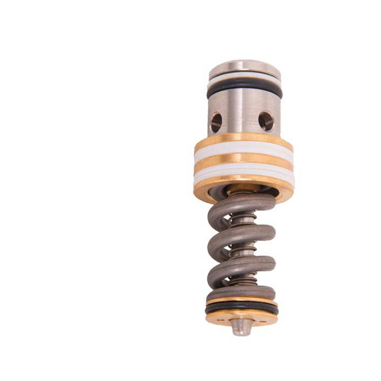 Interpump Kit 168 - Repair kit for K1 pressure control valve - complete inner workings
