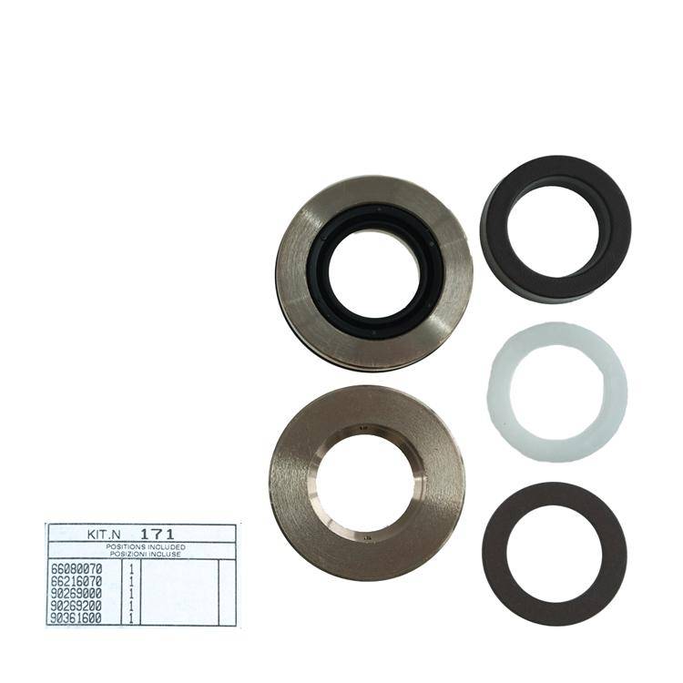 Interpump Kit 171 - Complete gasket set for 1 plunger Ø20mm - Series 66