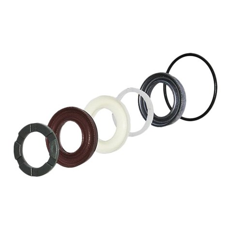 Annovi Reverberi Piston seal kit 42171