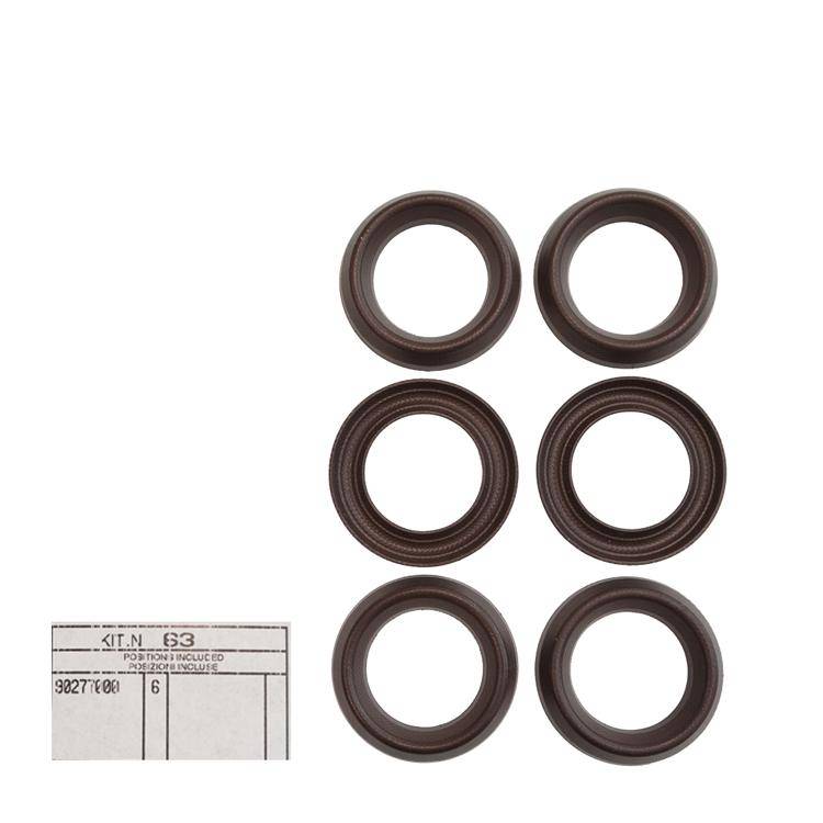 Interpump Kit 63 - Gasket set 30x45x7.5 (6x) - Series 69 - W103