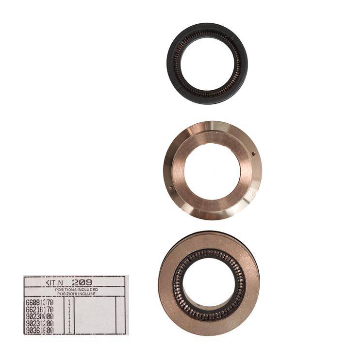 Interpump Kit 209 - Complete gasket set for 1 plunger Ø22mm - Series 66(V)HT Interpump Kit 209 - Complete gasket set for 1 plunger Ø22mm - Series 66(V)HT