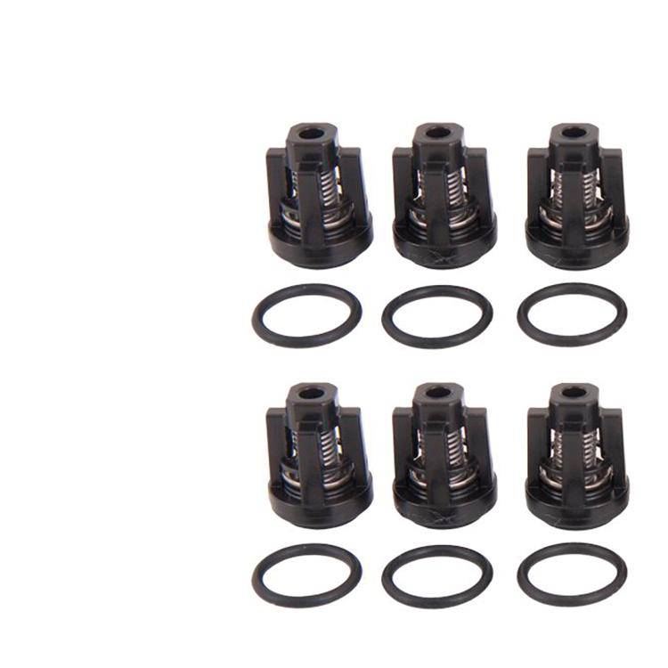 Interpump Kit 134 - Ventil und O-Ring (6x) - Serie Greenjet + Cleanmatic + Bluetime