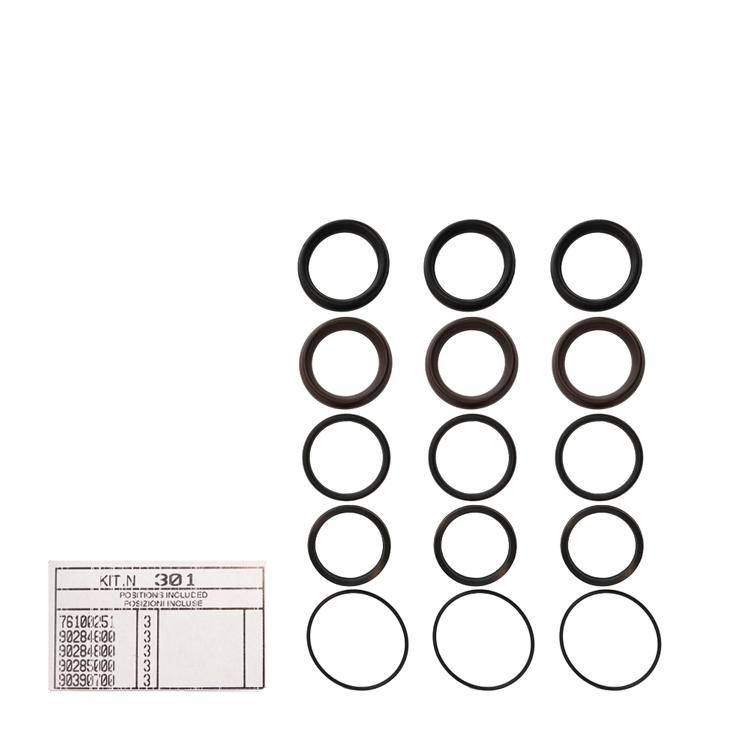 Interpump Kit 301 - Seal kit for 3 plunjer Ø45mm - Series AB