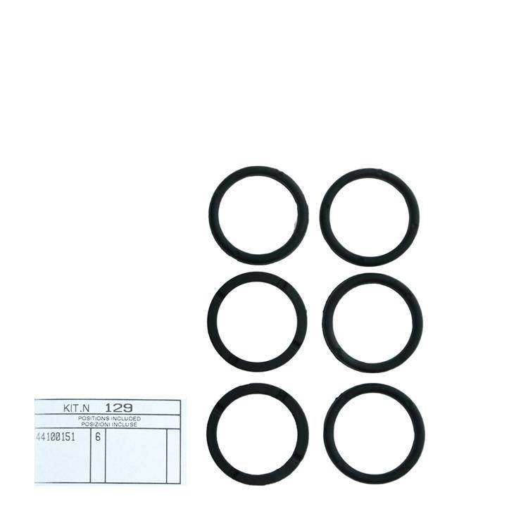 Interpump Kit 129 - Satz obere Ringe Ø18mm (6x) - Serie 44