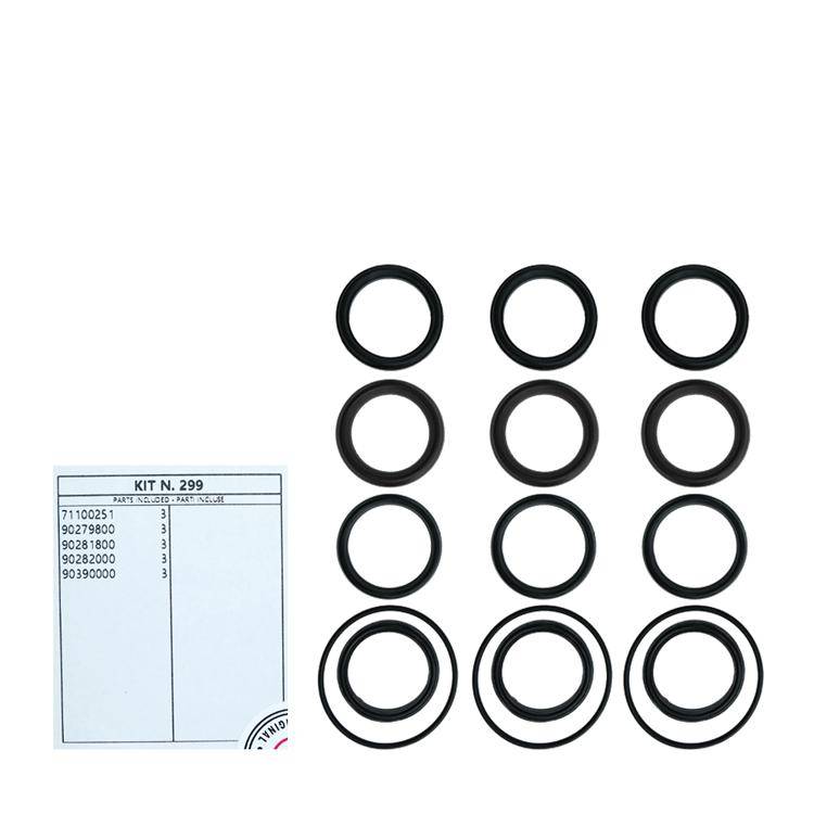 Interpump Kit 299 - Cuff set for 3 plungers Ø36mm - Series AB