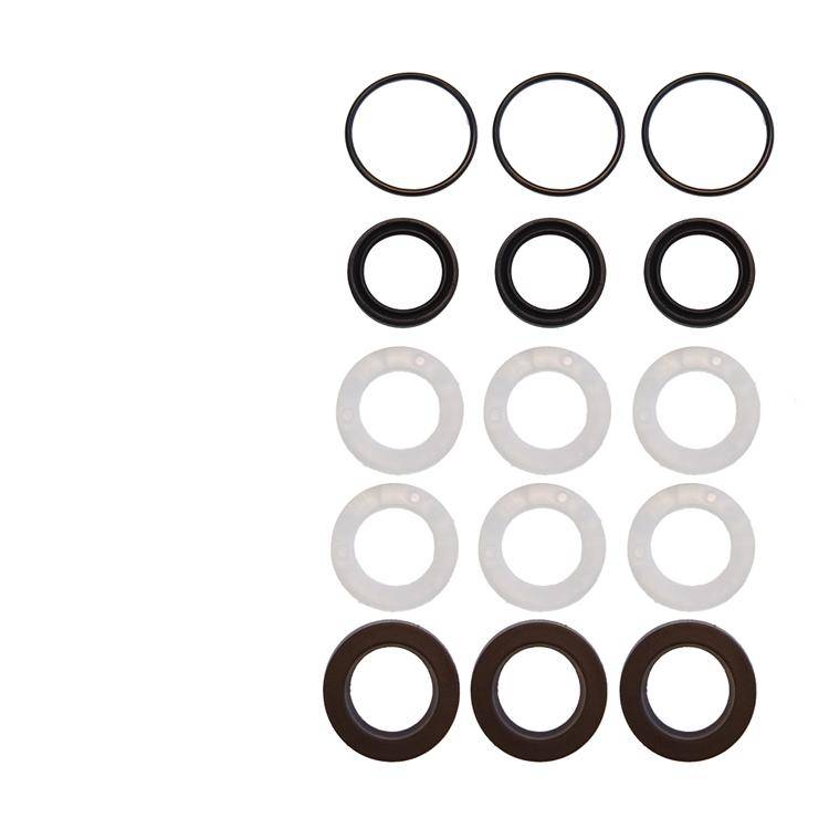 Interpump Kit 273 - Gasket set for 3 plungers Ø15mm - Series 58
