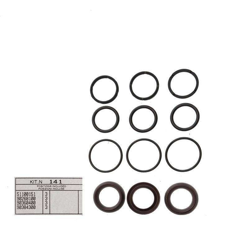 Interpump Kit 141 - Dichtsatz für 3 Plunger Ø18mm - Serie 51 Misting - HXM